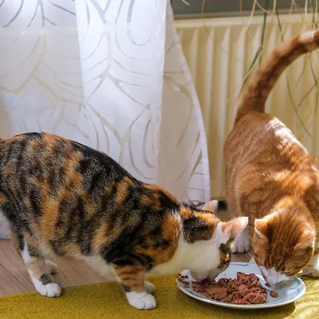Benb De Dromen Tuyn Spui Aalten