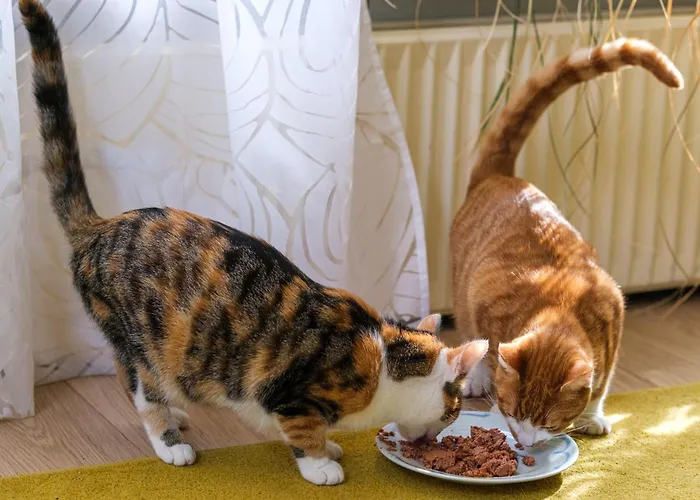 Benb De Dromen Tuyn Spui Aalten